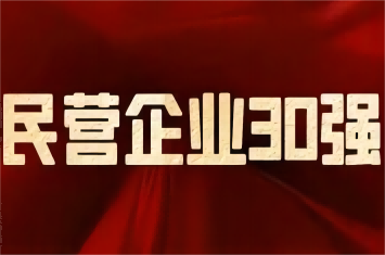 南阳民营企业及制造业30强榜单发布，乐动在线客服集团荣登前三